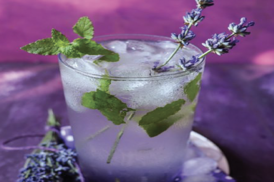 Lavender Mojito