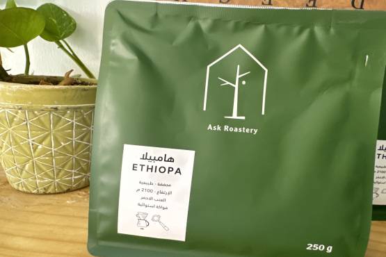 Ethiopa - Ask Reasstery