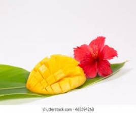 Mango & Hibiscus